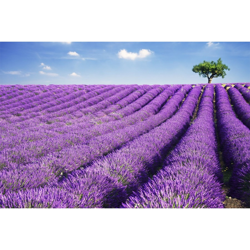 CANDELA PROFUMATA GIARA PICCOLA VIOLET LAVANDA 400gr profumazione lavanda 80h durata